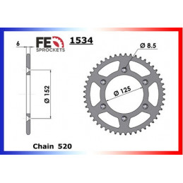 125.RR 2T (Route) '18/20 13X50 RK520FEZO *