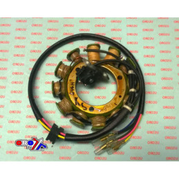 STATOR HOT SHOT XR400R...