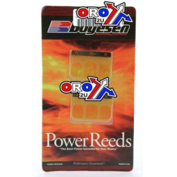 CLAPETS BOYESEN 696 CR250 2001