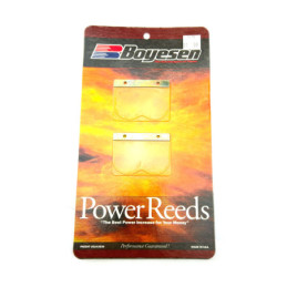 CLAPETS BOYESEN 6131 YZ250...