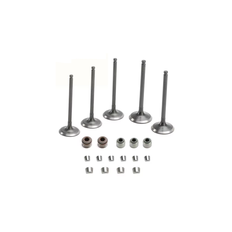 https://www.oro2u.com/media/catalog/product/6/5/65-K0900_KIT_1.png https://www.oro2u.com/media/catalog/product/6/5/65-K0900_KIT_1.png