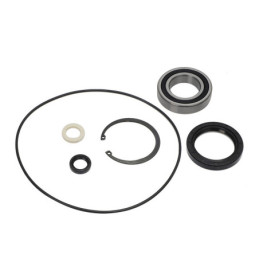 https://www.oro2u.com/media/catalog/product/1/7/17-2915-KIT2.jpg