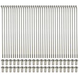 JEU DE RAYONS 16" x 36...