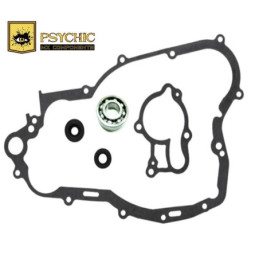 KIT POMPE À EAU YZ250...