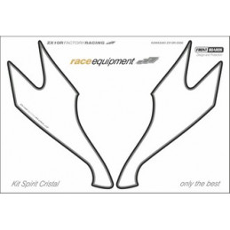 Kit graphique de protection frontale   ZX10R FACTORY RACING