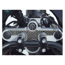 Protège T de fourche "Carbone" pour BMW-R 1100-1150 GS
