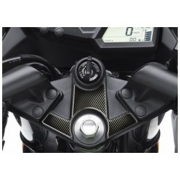 Protège T de fourche "Carbone" pour Kawasaki ZX 250 R - ZX 300 ABS 200